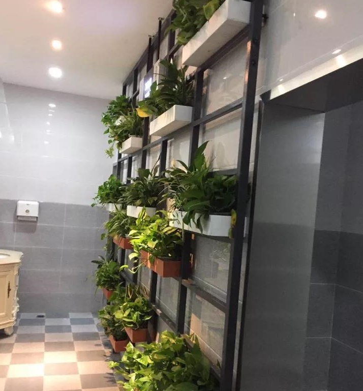 1635995163891411.jpg 1635921665830325.jpg