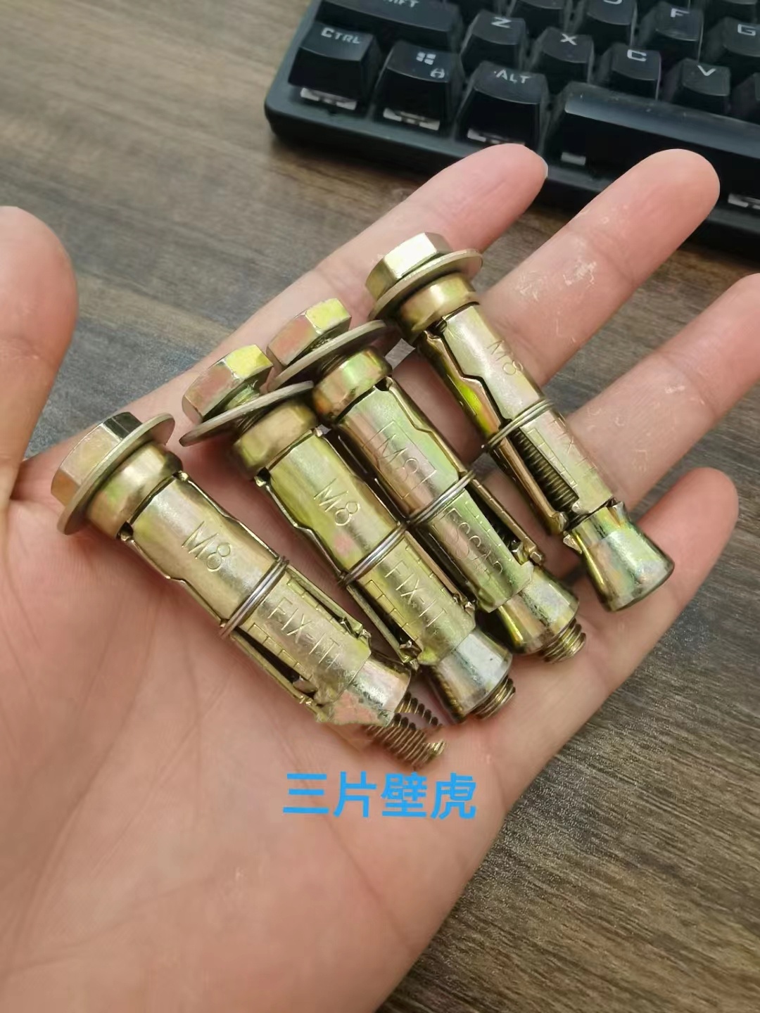 三片壁虎.jpg
